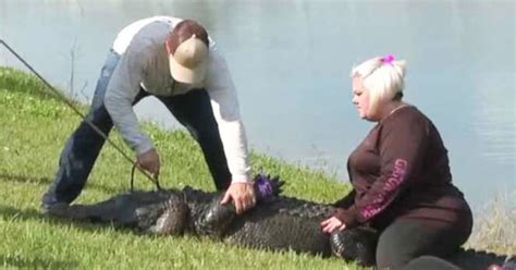 85-year-old woman alligator full video twitter|elderly lady attacked by alligator.